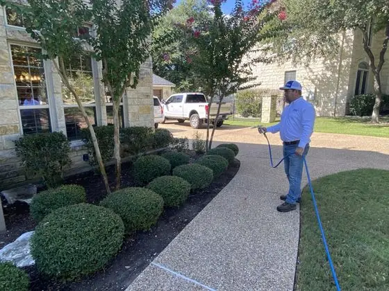 Pest Control